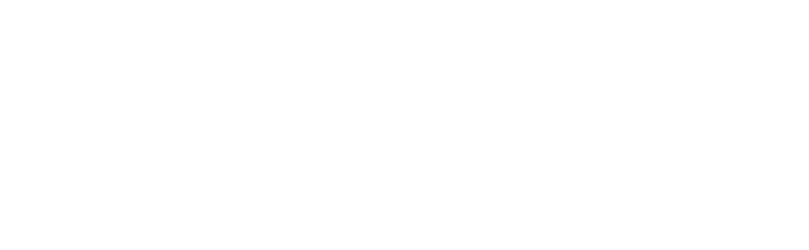 Saab Neg